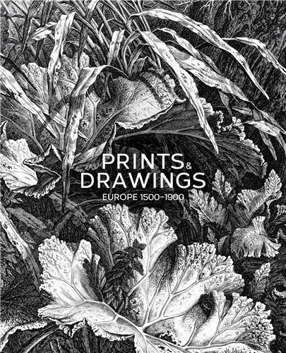 Prints & Drawings Europe 1500-1900 /anglais
