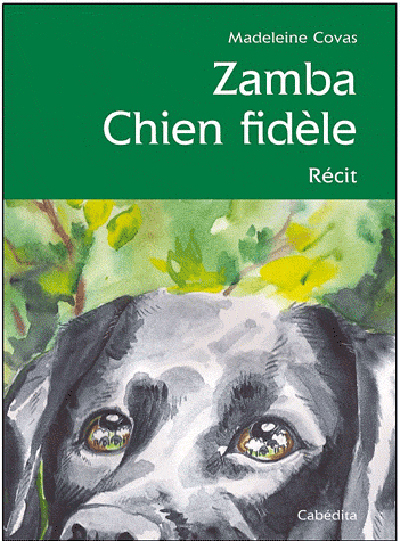 ZAMBA CHIEN FIDELE