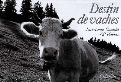 DESTIN DE VACHES