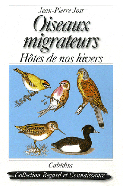 OISEAUX MIGRATEURS, HOTES DE NOS HIVERS