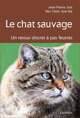 LE CHAT SAUVAGE, UN RETOUR DISCRET A PAS FEUTRES