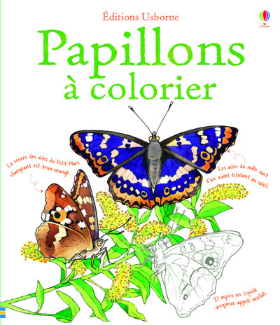 Papillons à colorier