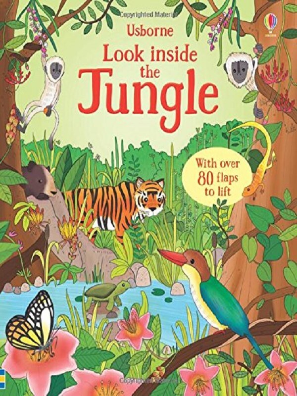 Look Inside the Jungle