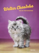 Walter Chandoha The Cat Photographer (New ed) /anglais