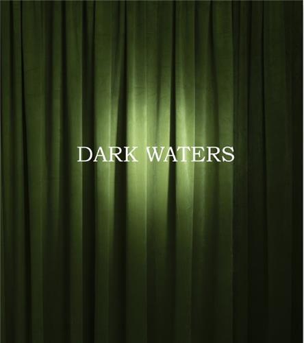 Kristine Potter Dark Waters /anglais