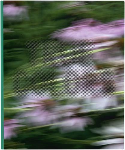 Zora J Murff True Colors  (or, Affirmations in a Crisis) /anglais