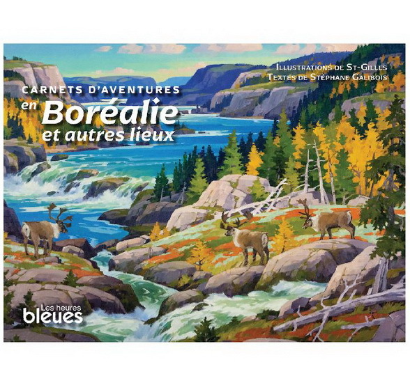 CARNETS D'AVENTURE EN BOREALIE ET AUTRES LIEUX (CARTONNE)