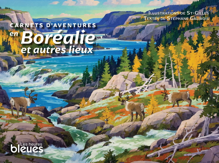 CARNETS D'AVENTURES EN BOREALIE ET AUTRES LIEUX (SOUPLE)