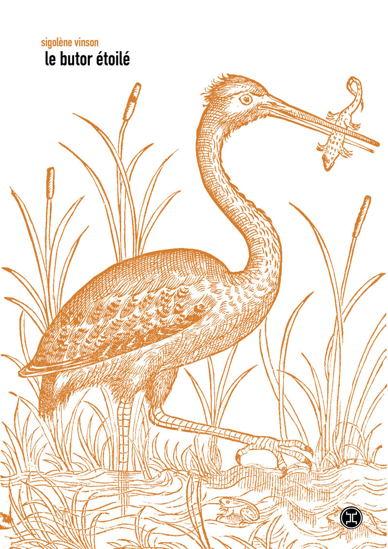 Le Butor étoilé