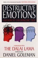 Destructive Emotions