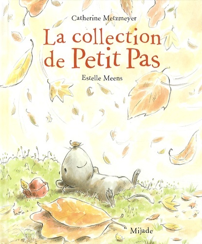 COLLECTION DE PETIT PAS
