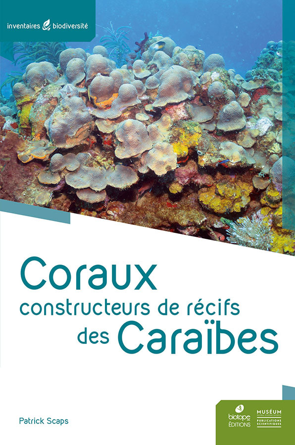 Coraux constructeurs de récifs des Caraïbes