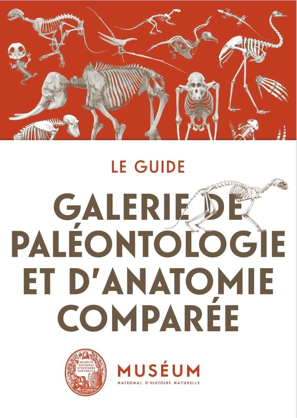 La galerie de paléonthologie et d'anatomie comparée - FR