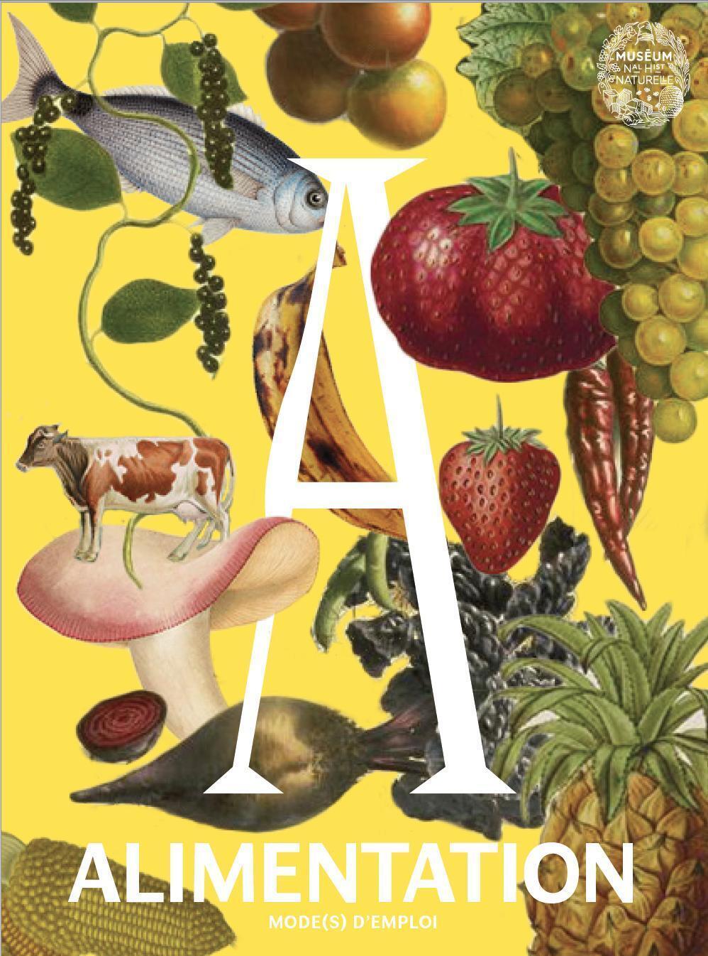 Alimentation mode(s) d'emploi
