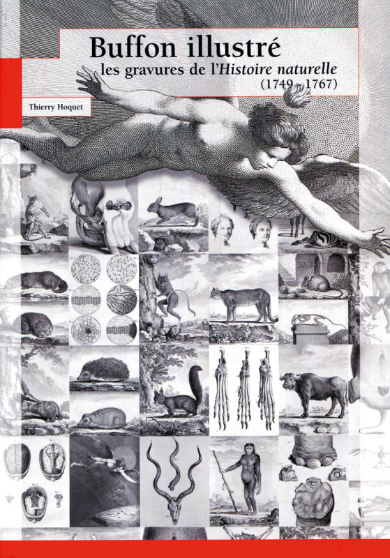 BUFFON ILLUSTRE  LES GRAVURES DE L HISTOIRE NATURELLE