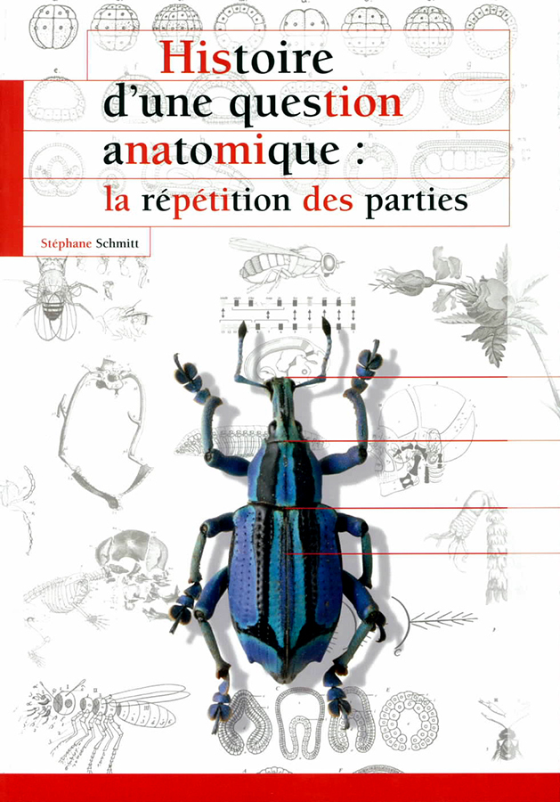 HISTOIRE D UNE QUESTION ANATOMIQUE