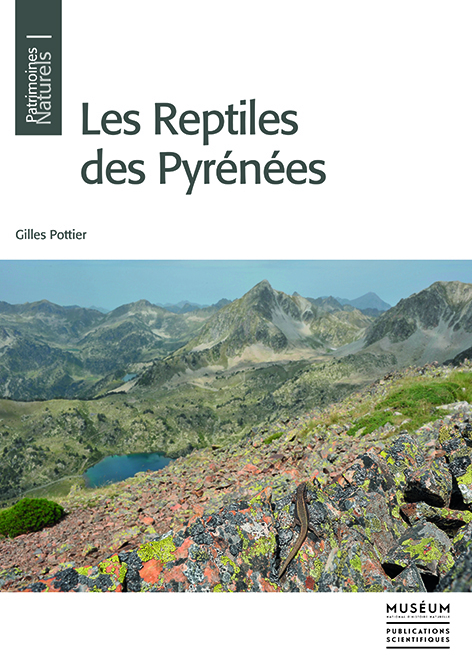 Les reptiles des Pyrénées