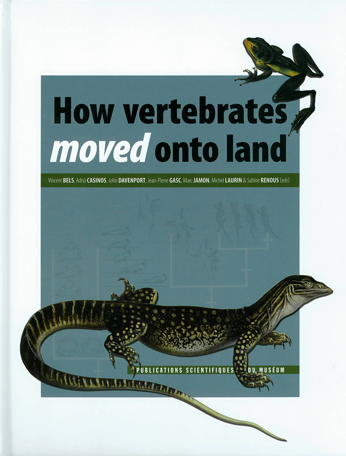 How vertebrates moved onto land .