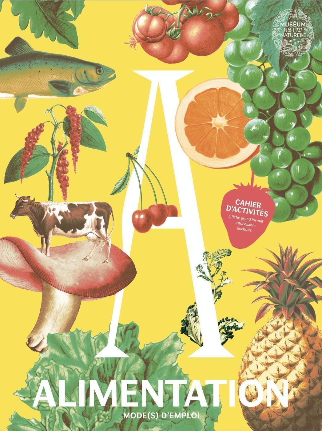 Alimentation mode(s) d'emploi - Cahiers d'activités