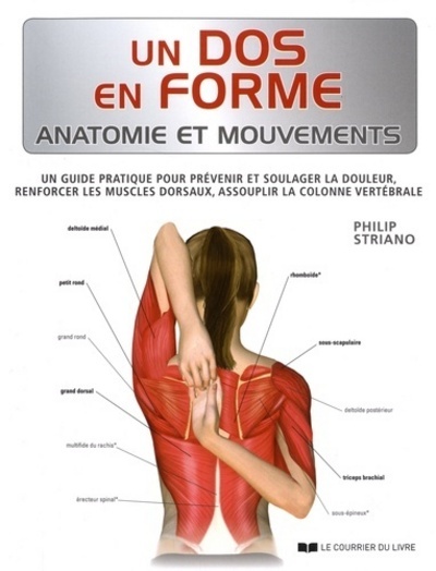 Un dos en forme - Anatomie et Mouvements