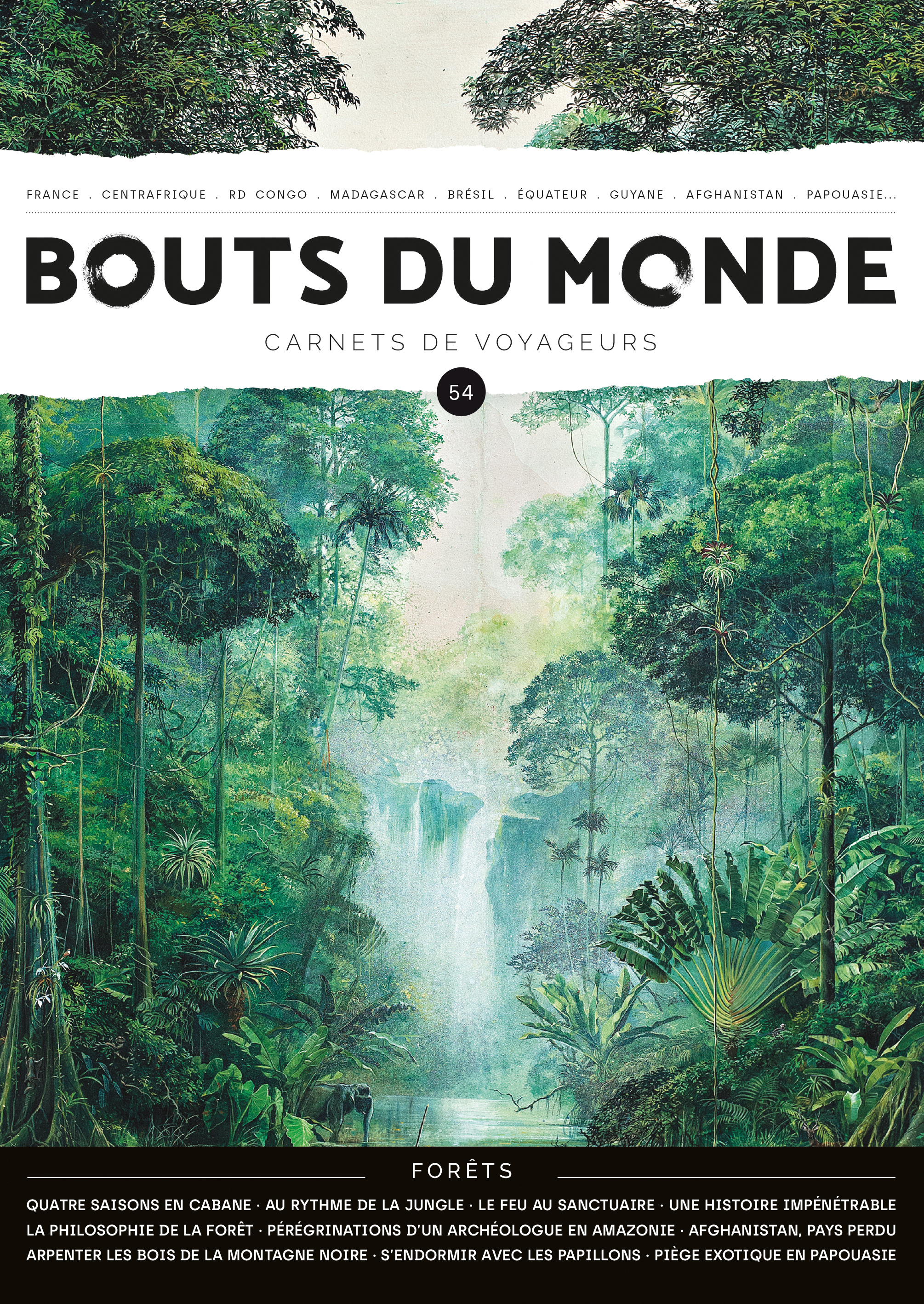 Bouts du monde 54 : les forêts