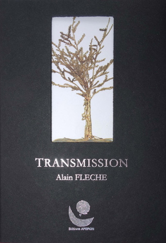 TRANSMISSION