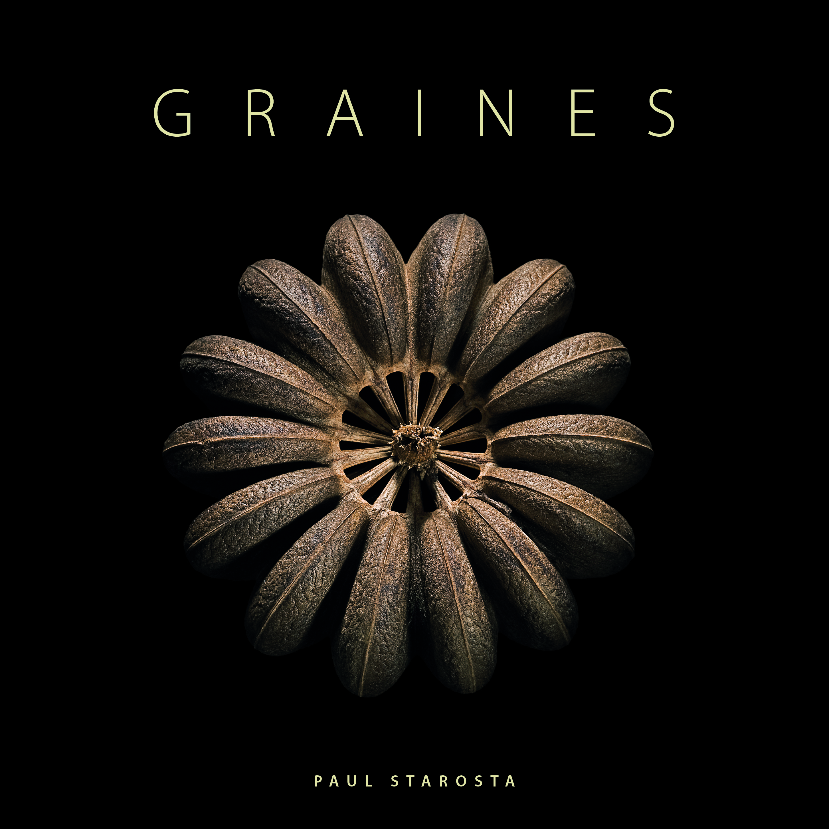 Graines