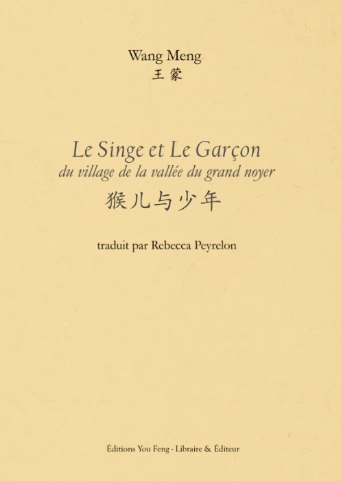 Le Singe et Le Garçon