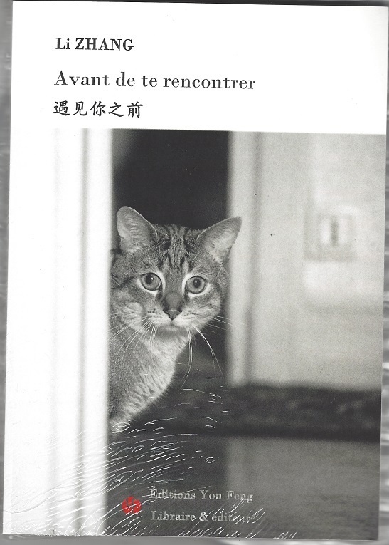 Avant de te rencontrer