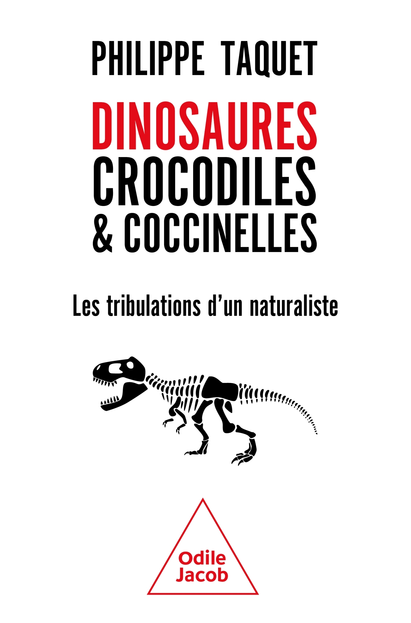 Dinosaures, crocodiles et coccinelles