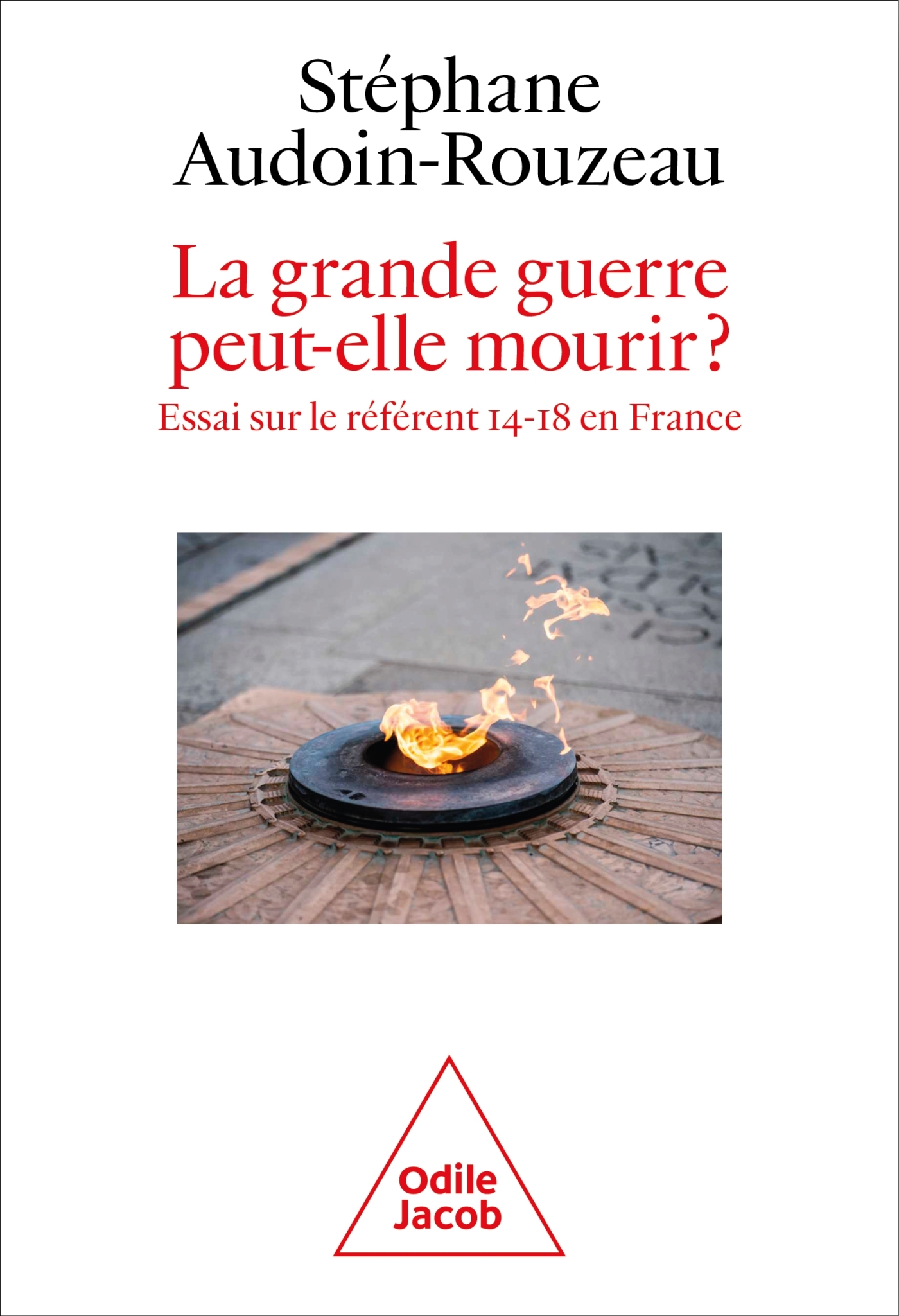 La Grande Guerre peut-elle mourir?