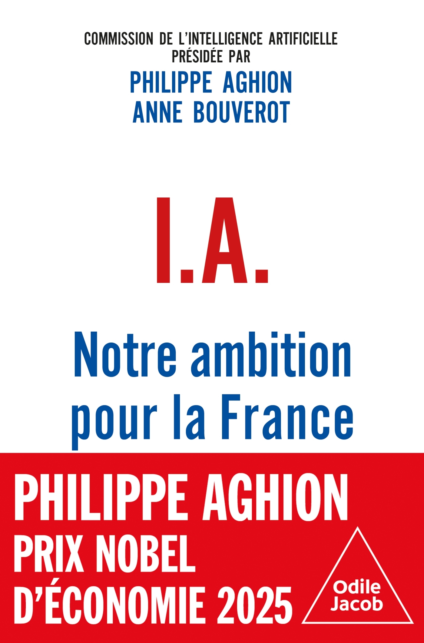 IA : Notre ambition pour la France