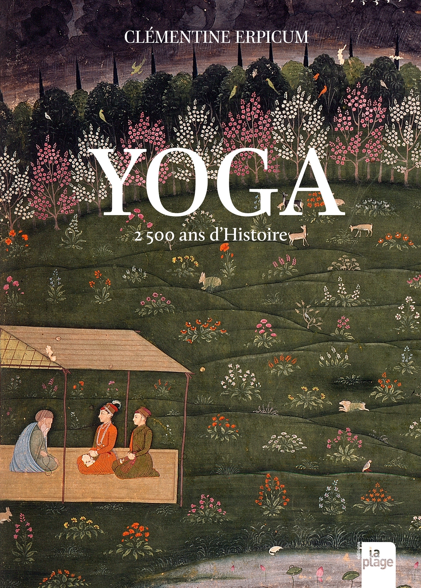 Yoga, 2500 ans d'histoire (nouvelle édition)