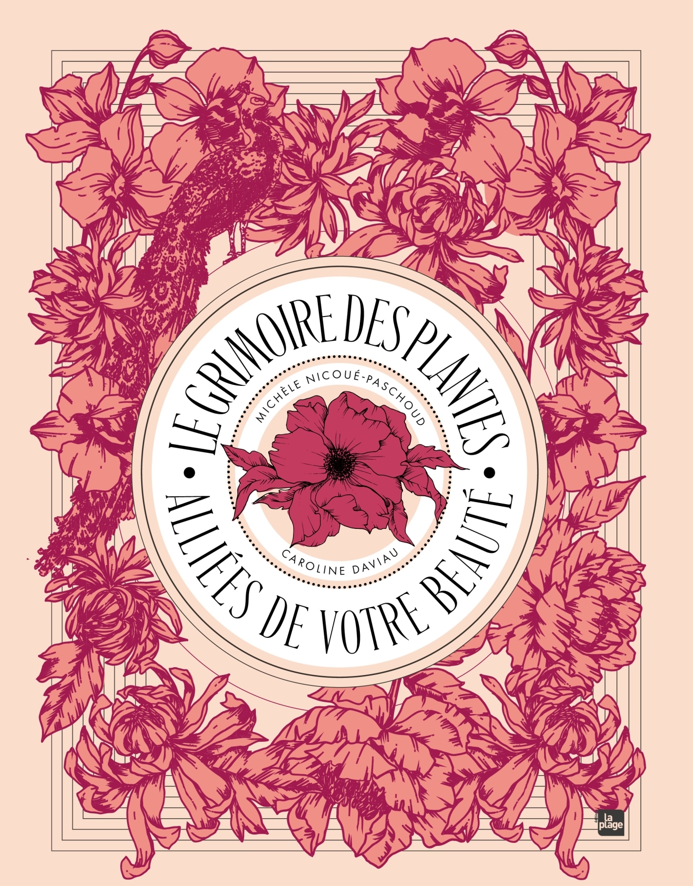 Le grimoire des plantes alliées de votre beauté