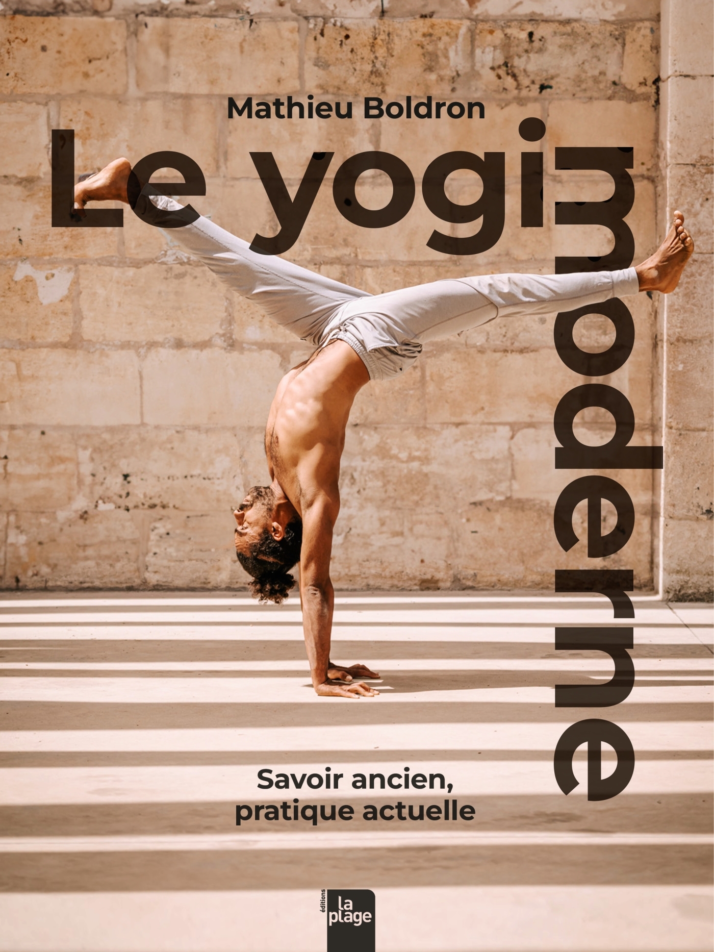 Le Yogi moderne