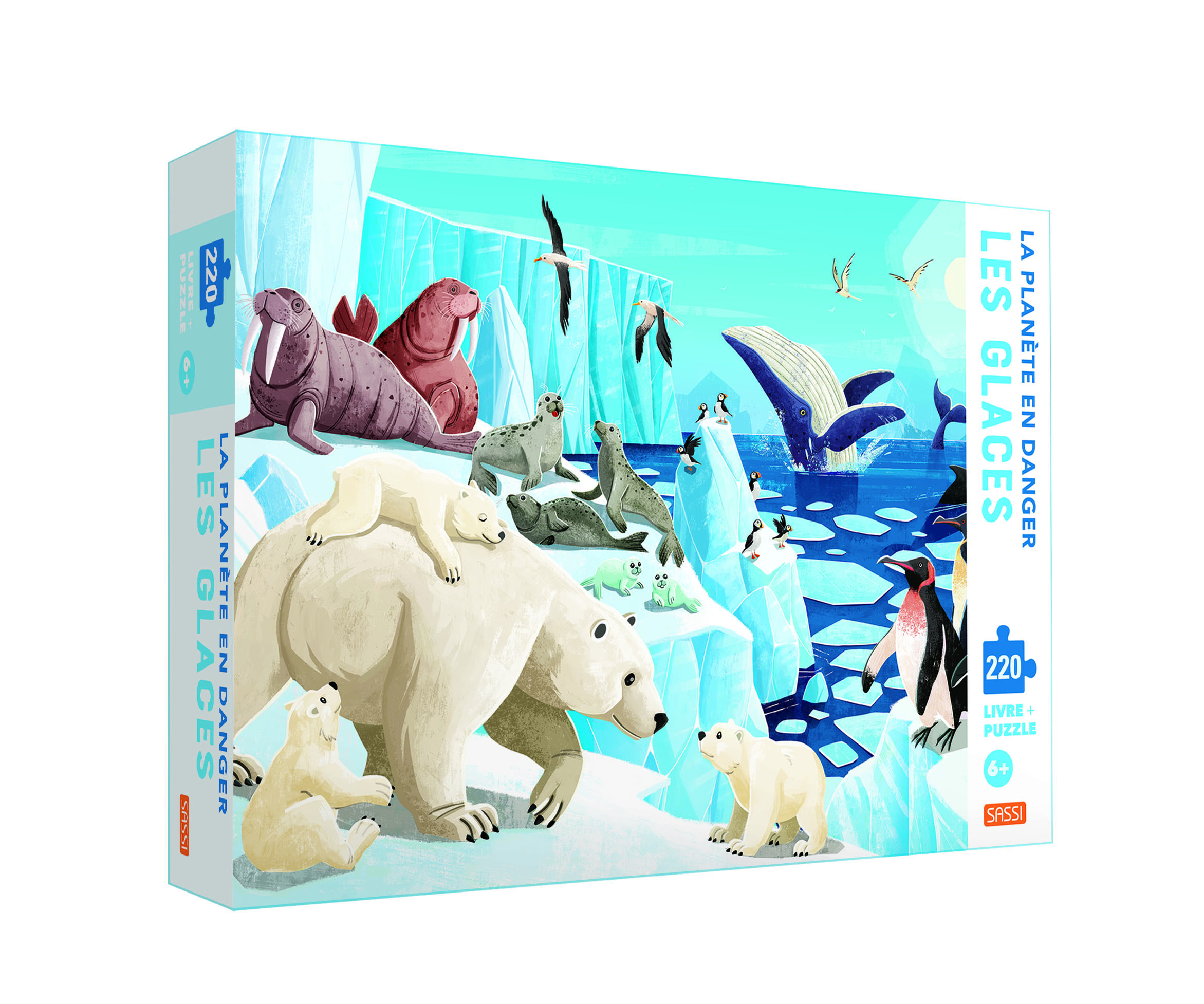 La planète en danger - Les glaces