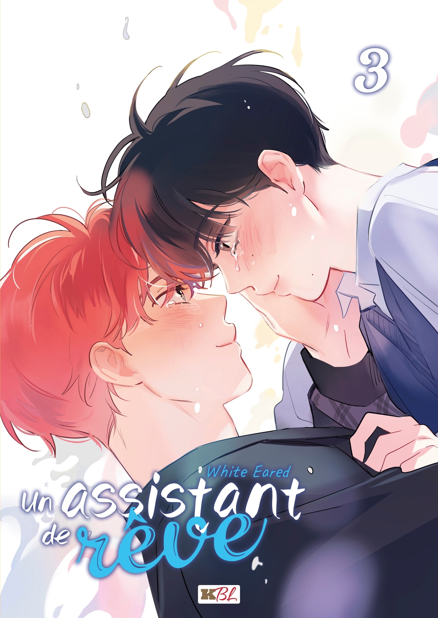 Un assistant de rêve T03