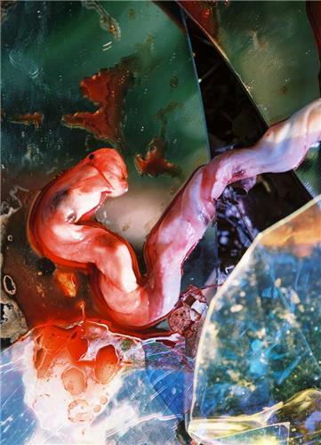 Lucile Boiron Bouche /anglais