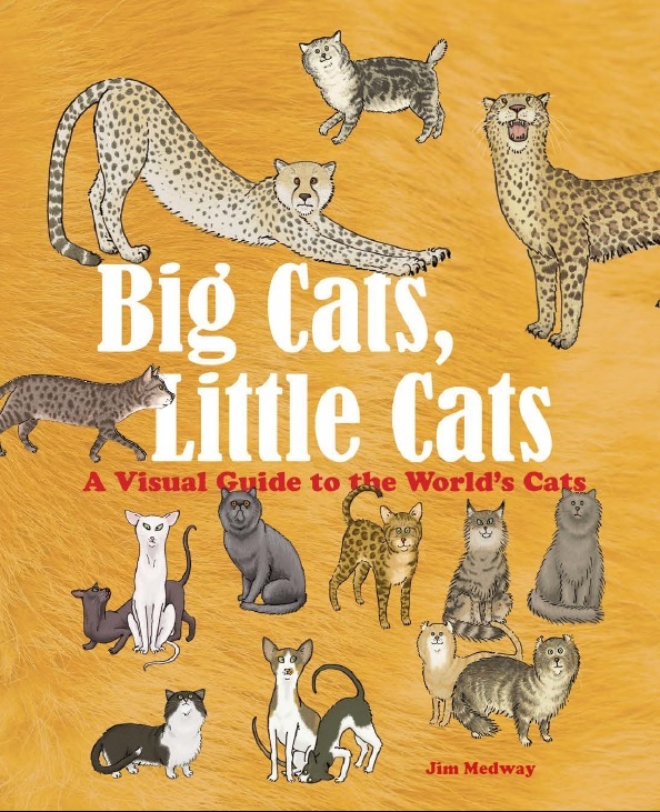 Big Cats, Little Cats A Visual Guide to the World's Cats /anglais