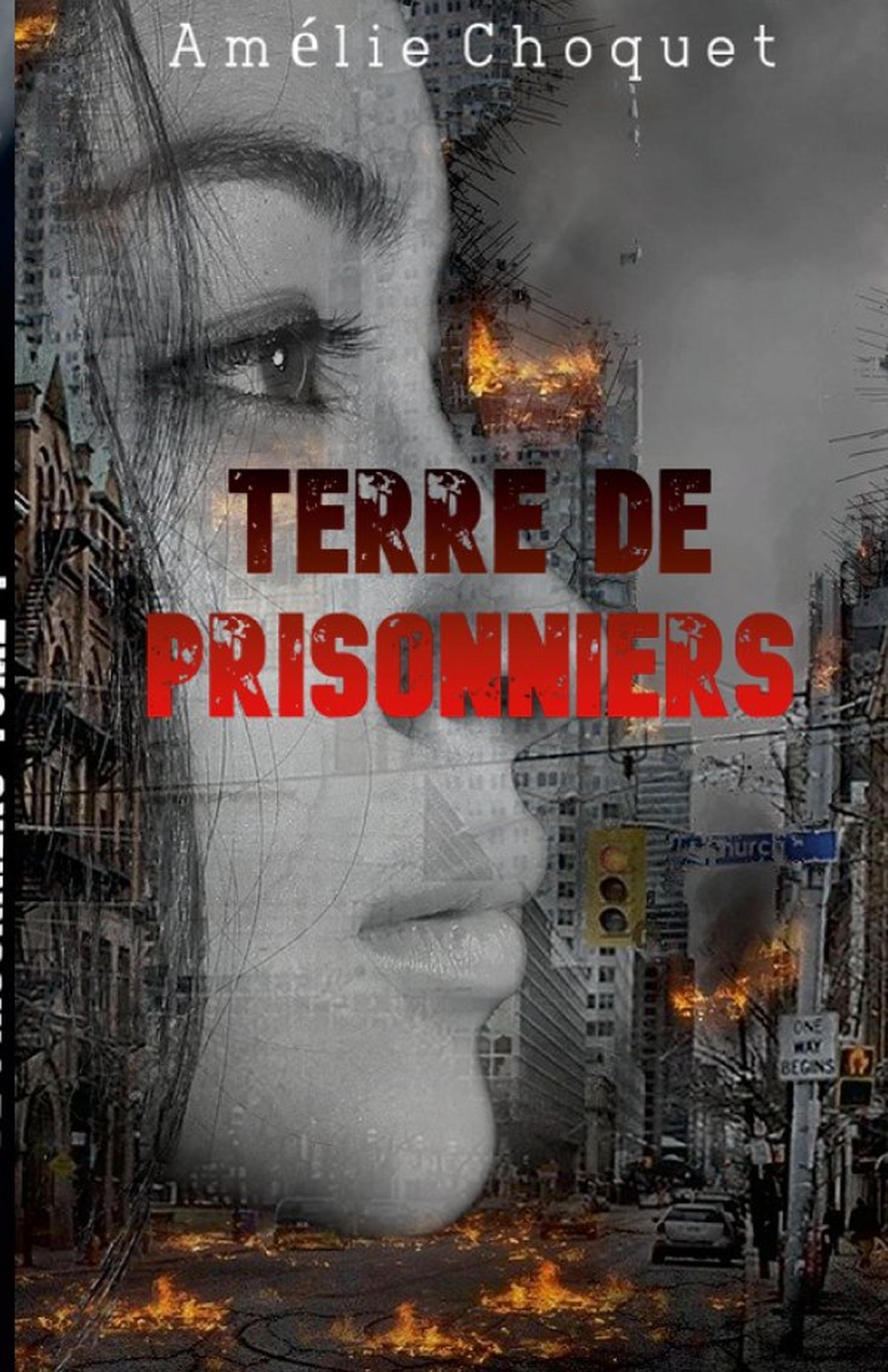 Terre de prisonniers  Tome 1