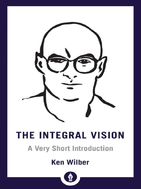Integral Vision