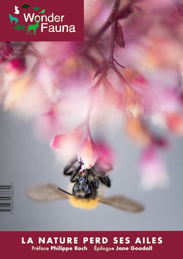 La nature perd ses ailes