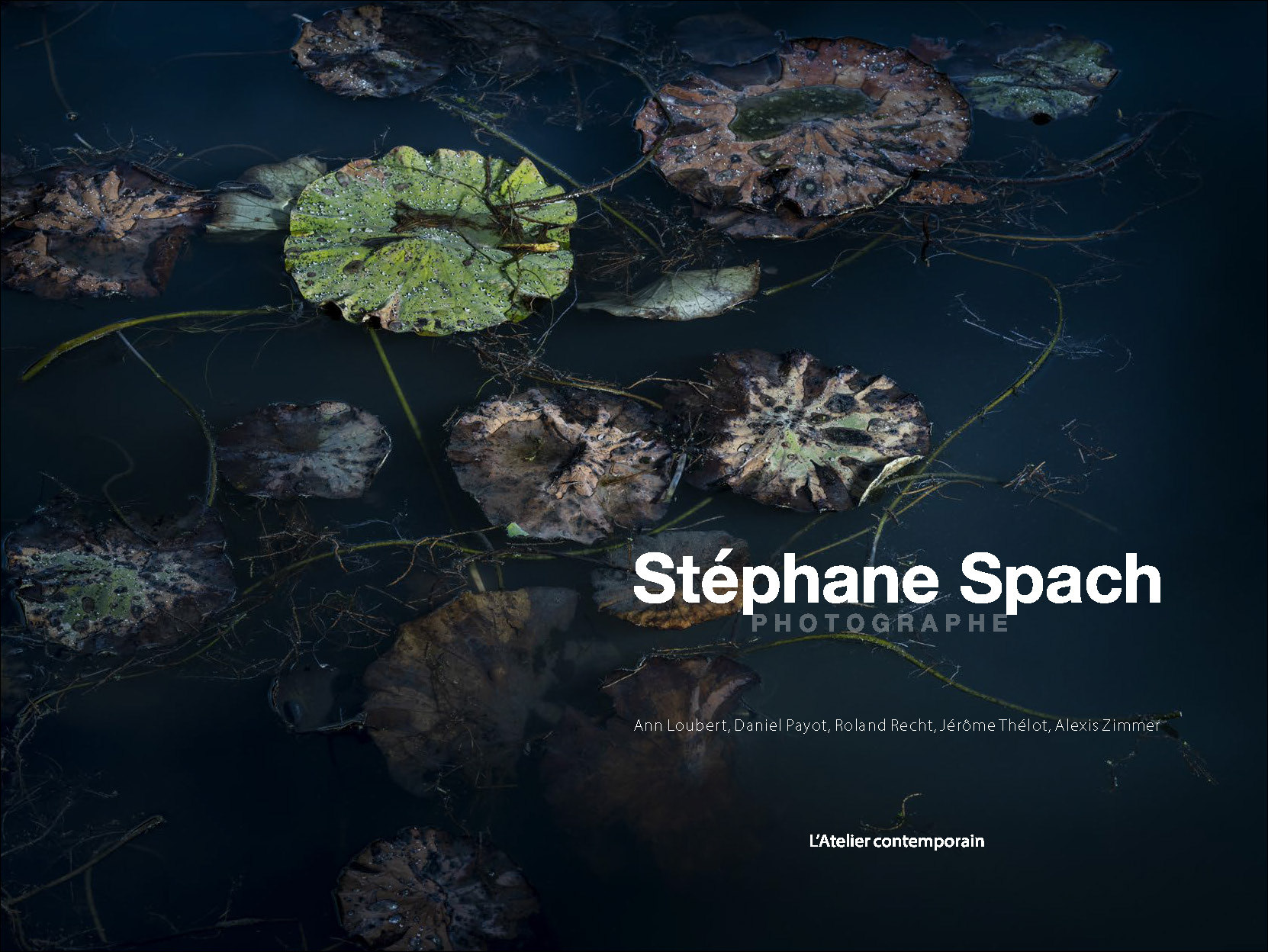 Stéphane Spach, photographe