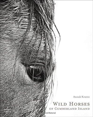 Wild Horses of Cumberland Island /anglais