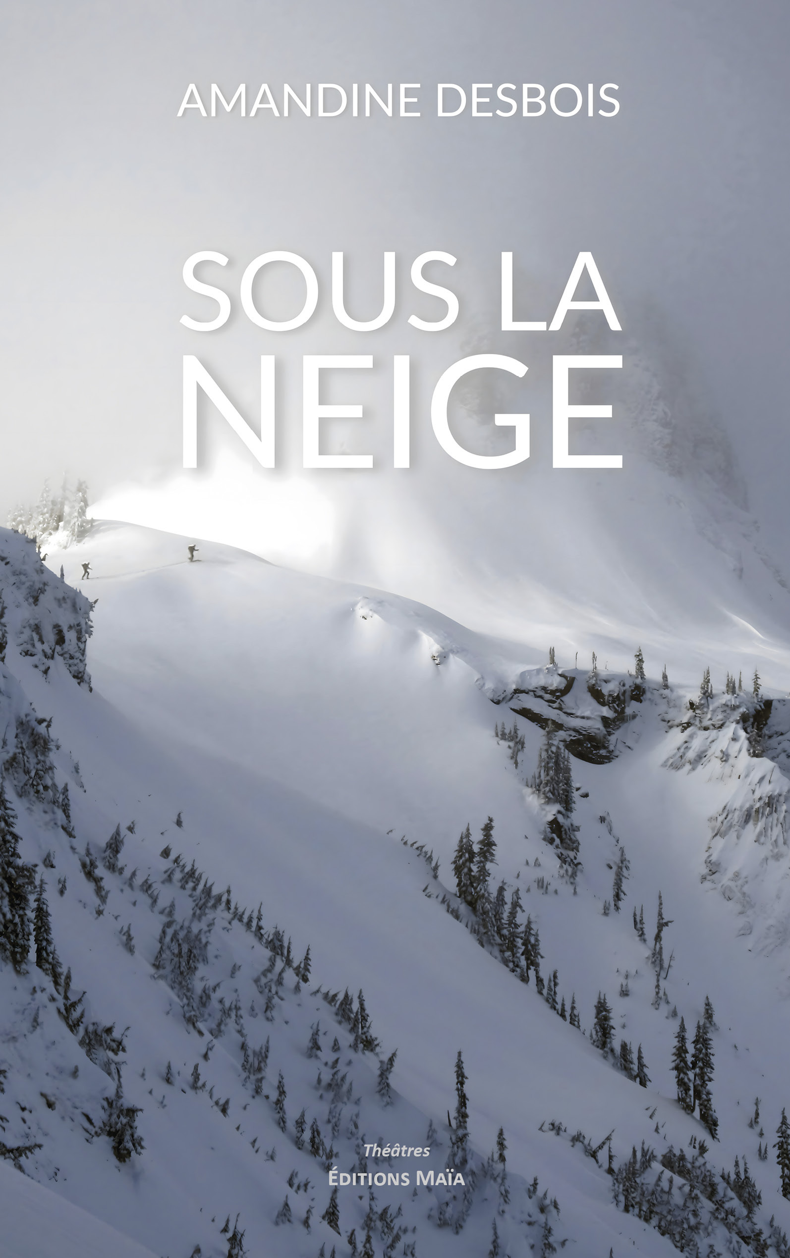 Sous la neige