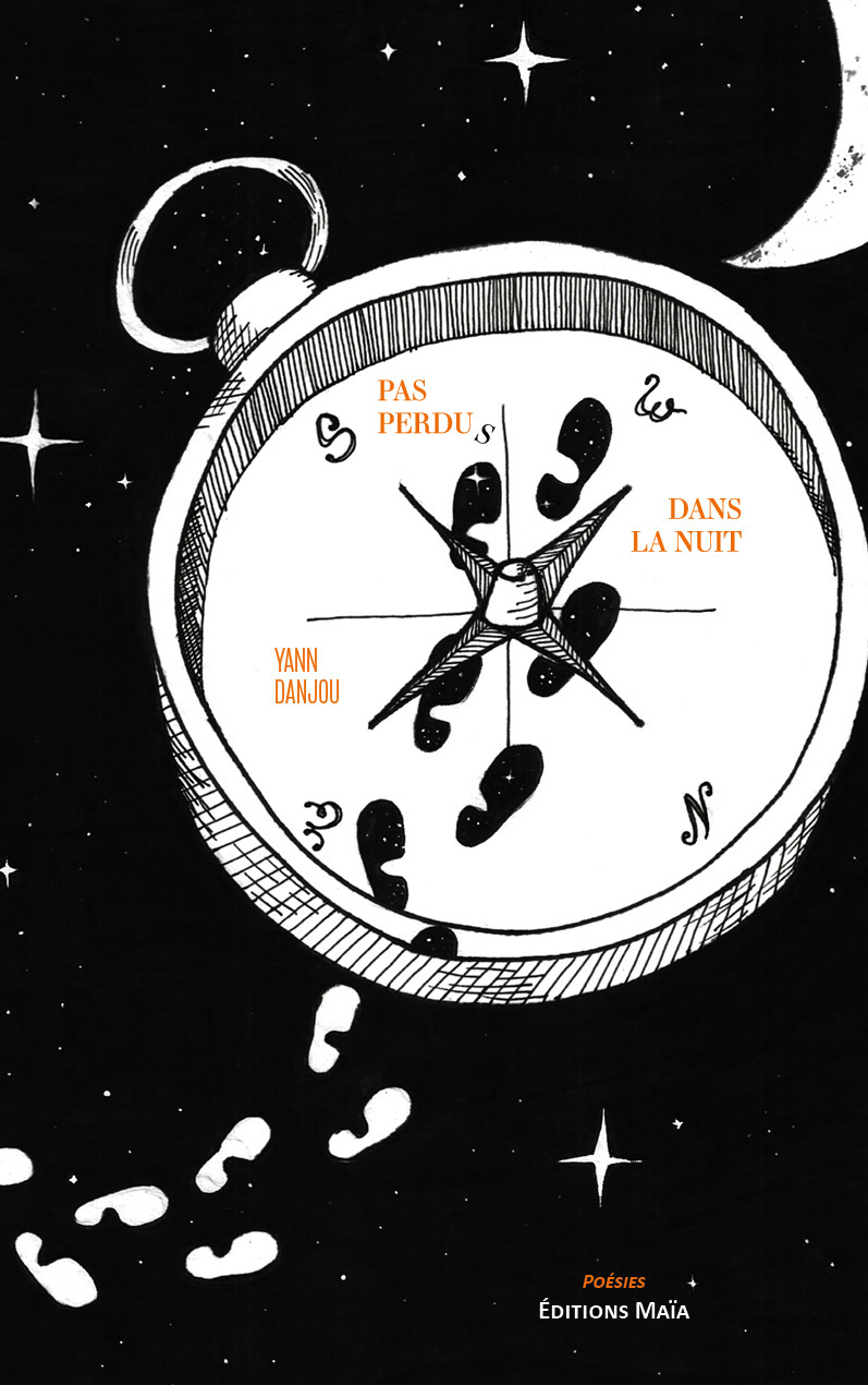 Pas perdus dans la nuit