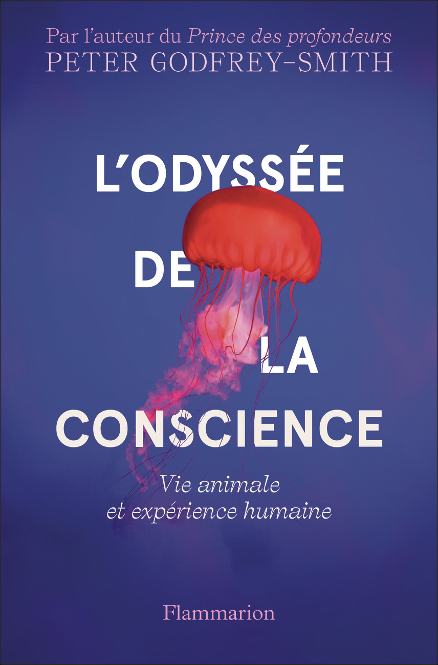 L'Odyssée de la conscience