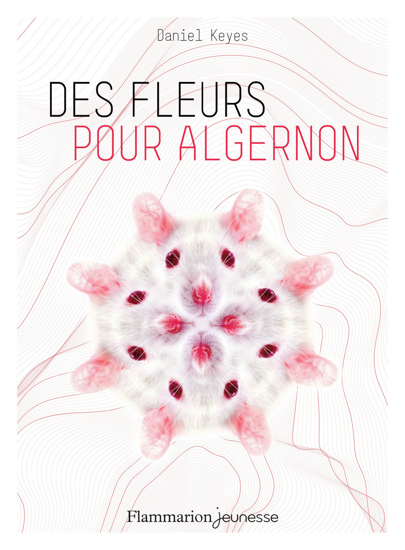 Des fleurs pour Algernon