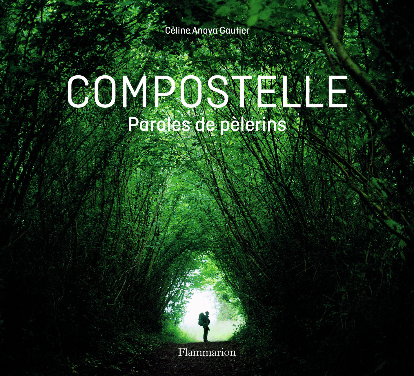 COMPOSTELLE PAROLES DE PELERINS