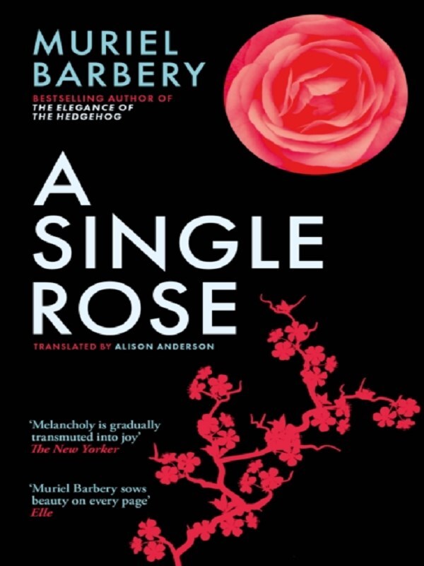 A Single Rose